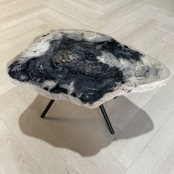 Couchtisch aus versteinertem Holz