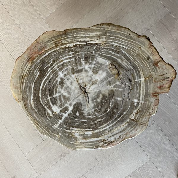 Versteend hout salontafel
