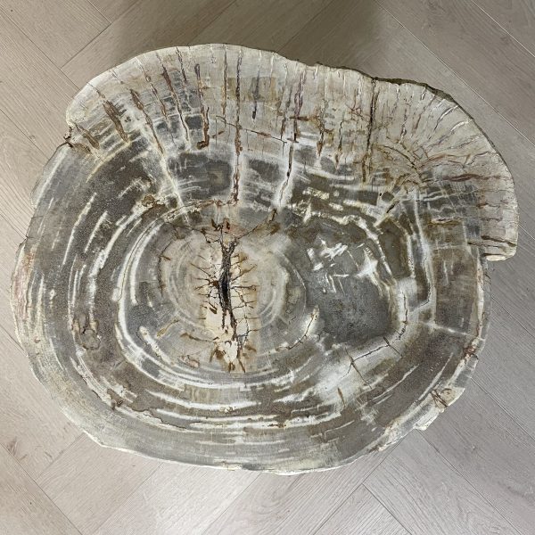 Versteende salontafel