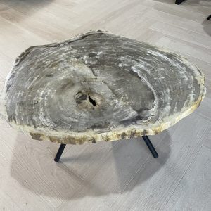 Versteend hout salontafel