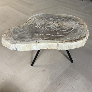 Versteend hout salontafel