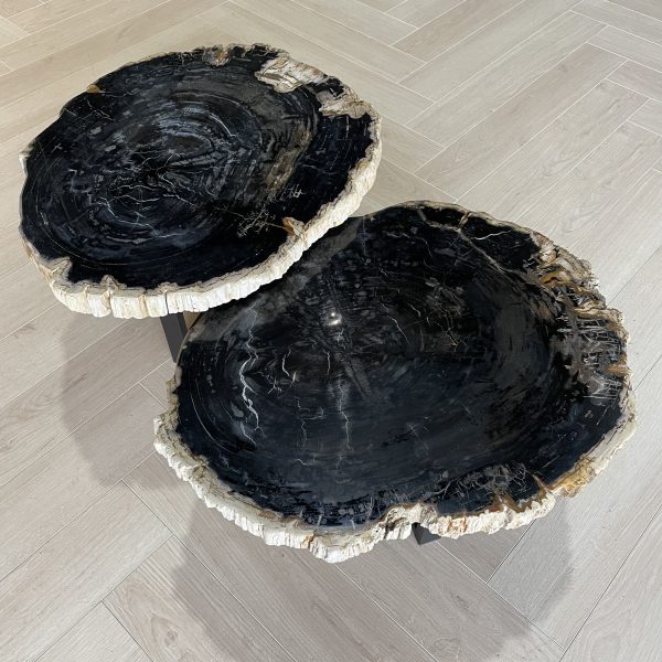 Couchtisch aus versteinertem Holz