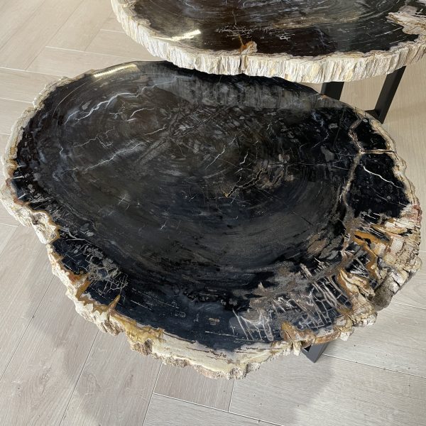 Couchtisch aus versteinertem Holz