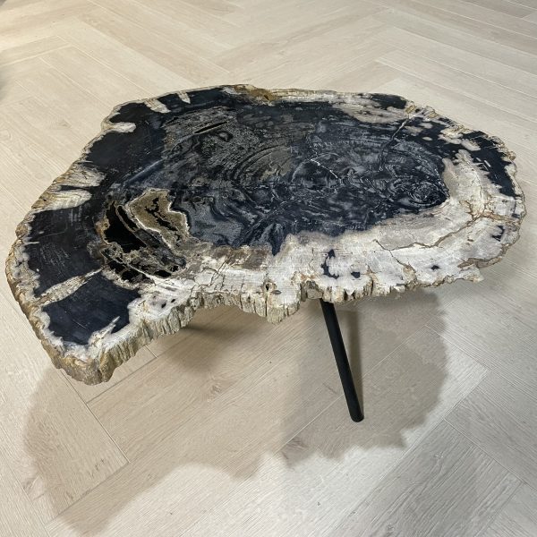 Couchtisch aus versteinertem Holz