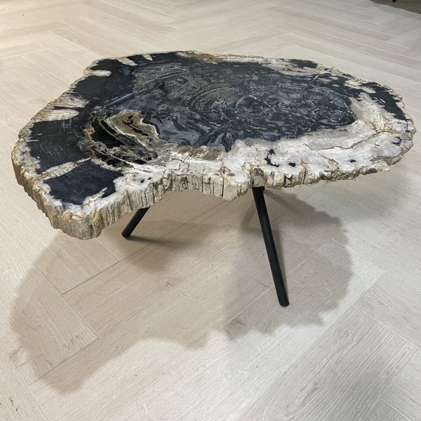 Couchtisch aus versteinertem Holz