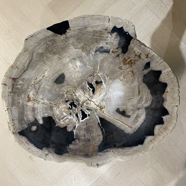 Couchtisch aus versteinertem Holz