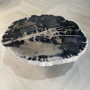 Couchtisch aus versteinertem Holz