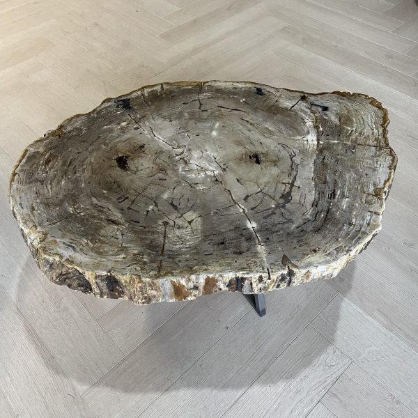 Couchtisch aus versteinertem Holz