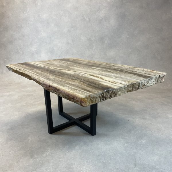 Versteend hout salontafel