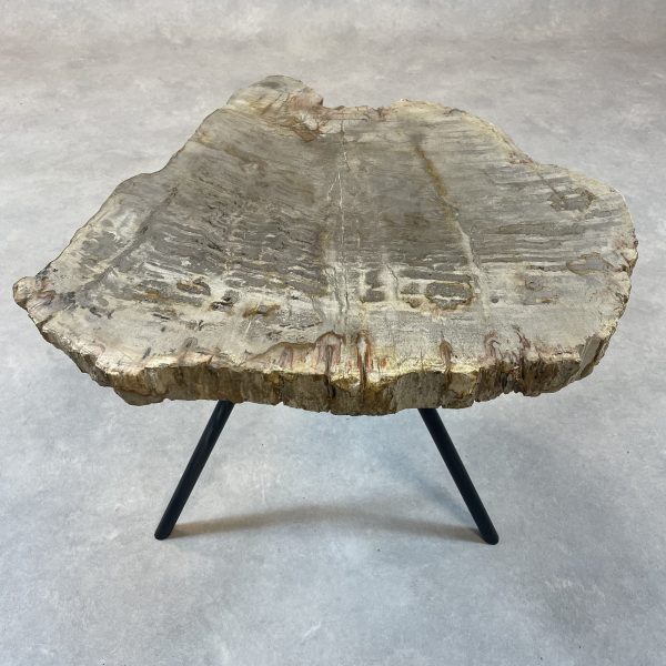 Versteend hout salontafel