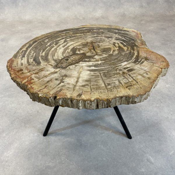 Versteend hout salontafel