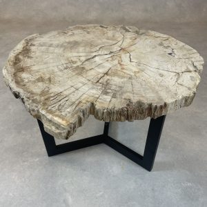 Versteend hout salontafel