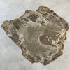 Couchtisch aus versteinertem Holz - Beige #209B4 – Bild 2