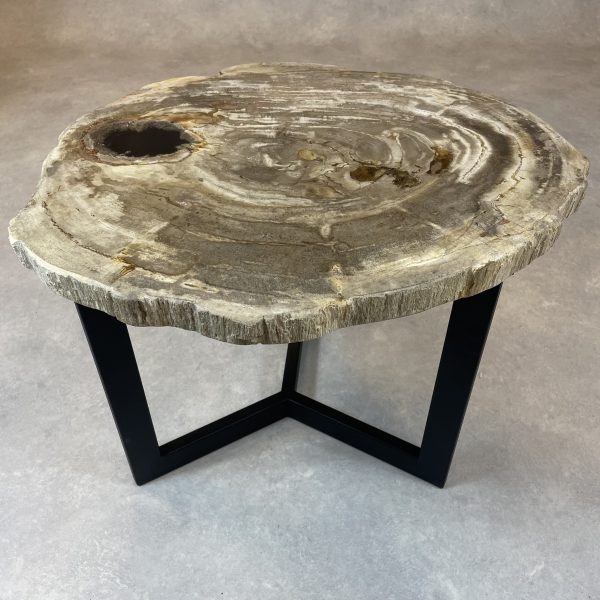 Couchtisch aus versteinertem Holz