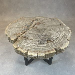 Versteend hout salontafel