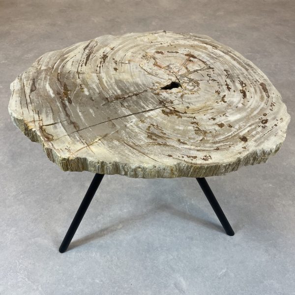 Couchtisch aus versteinertem Holz