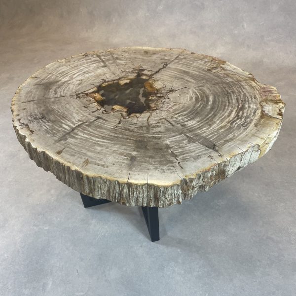 Versteend hout salontafel