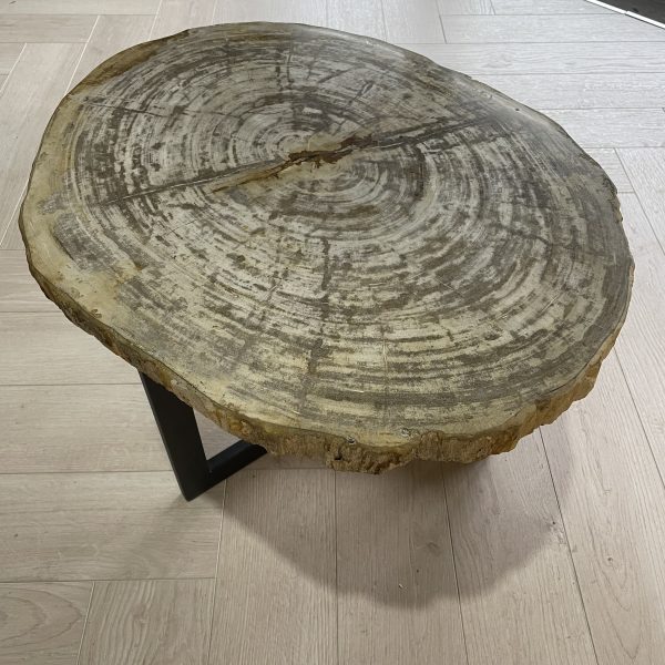 Versteend hout salontafel