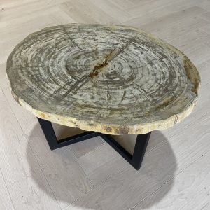 Versteend hout salontafel