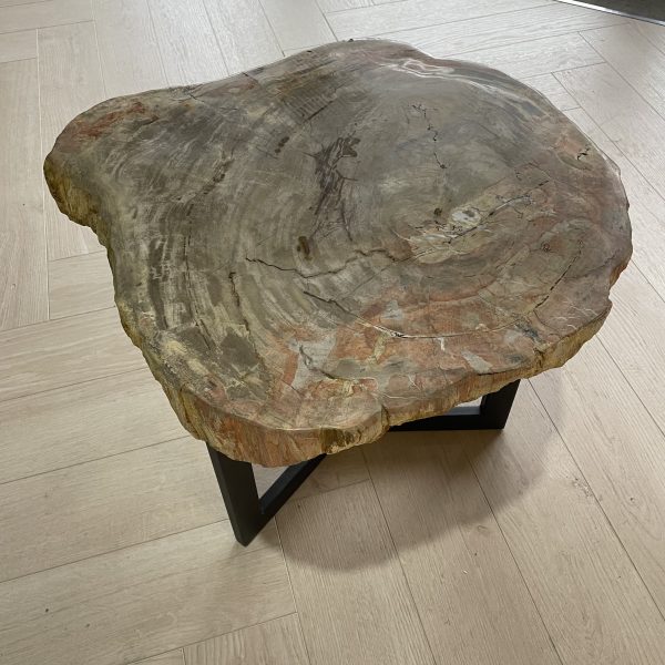 Versteend hout salontafel