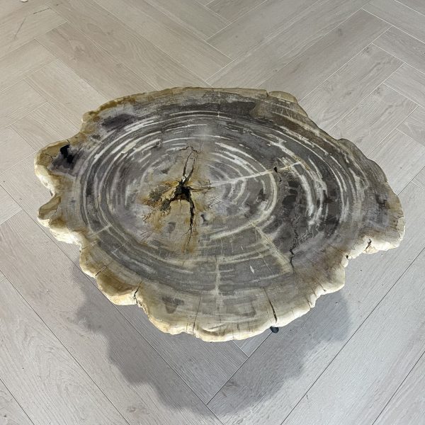 Versteend hout salontafel