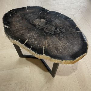 Versteend hout salontafel