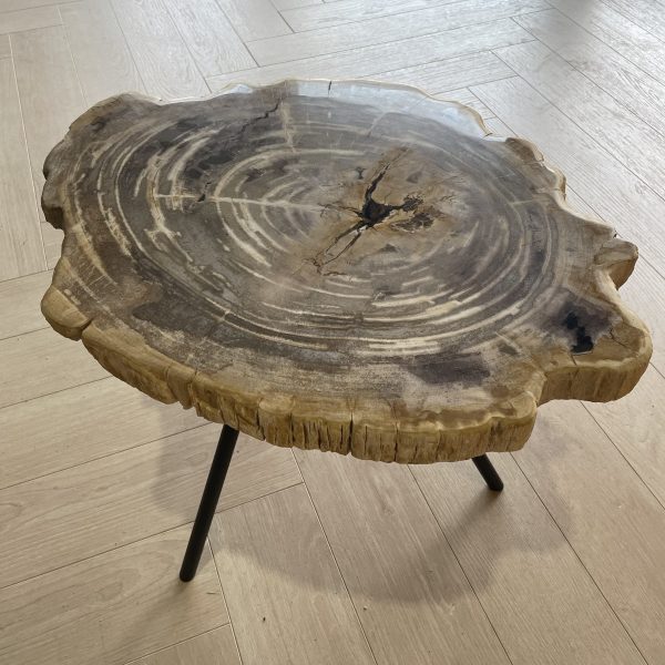 Versteend hout salontafel