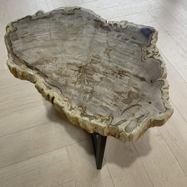 Versteend hout salontafel