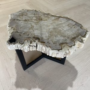 Versteend hout salontafel