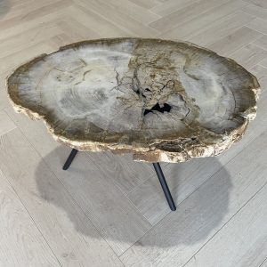 Versteend hout salontafel