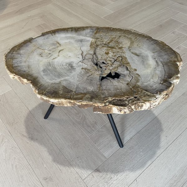 Versteend hout salontafel