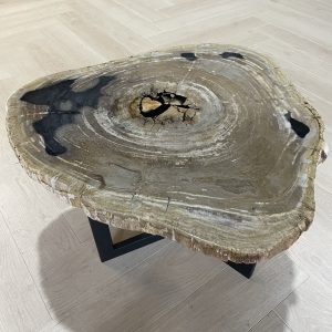 salontafel versteend hout