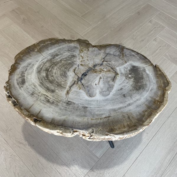 Versteend hout salontafel