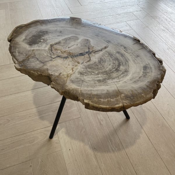 Versteend hout salontafel