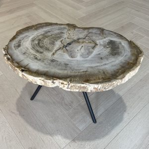 Versteend hout salontafel