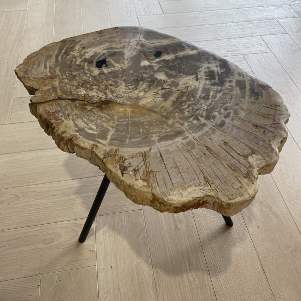 Versteend hout salontafel