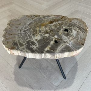 Versteend hout salontafel