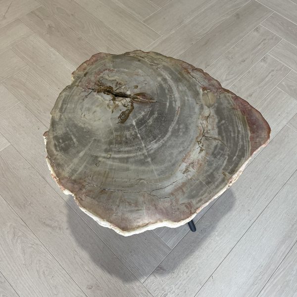 Versteend hout salontafel