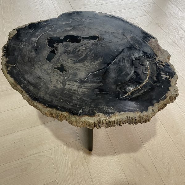 Versteend hout salontafel