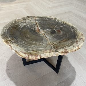 salontafel versteend hout