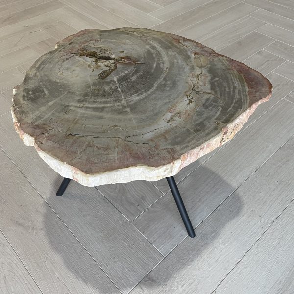 Versteend hout salontafel