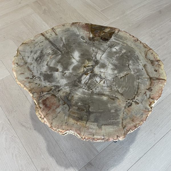 Versteend hout salontafel