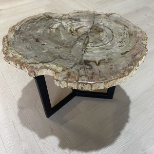 Versteend hout salontafel