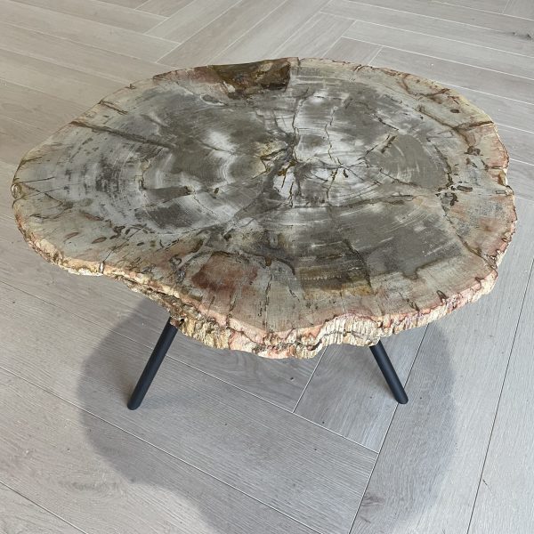 Versteend hout salontafel