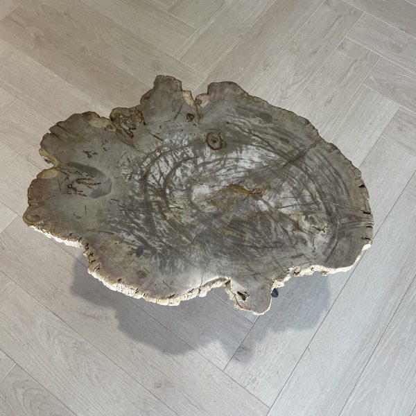 Versteend hout salontafel