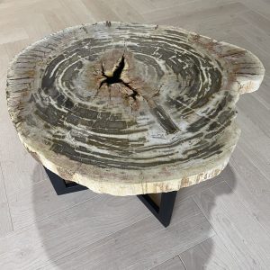 salontafel versteend hout