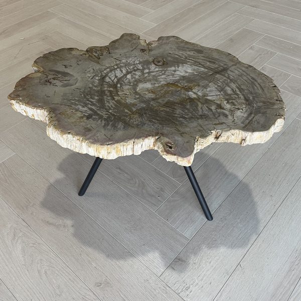 Versteend hout salontafel