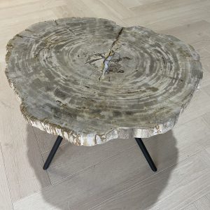 Versteend hout salontafel