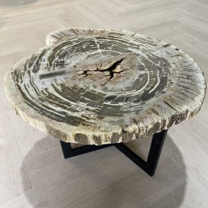 salontafel versteend hout