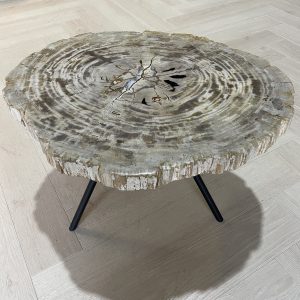 Versteend hout salontafel